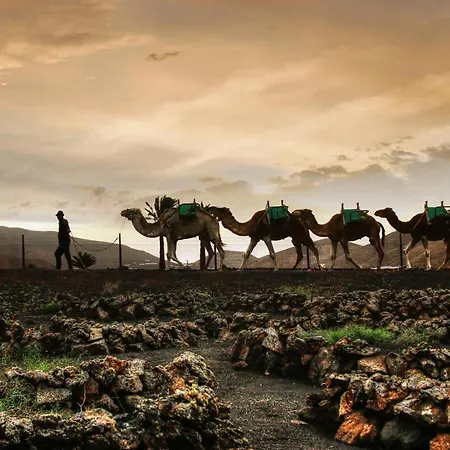 Home2book Prime Location Apartment, Playa Grande Apartmán *