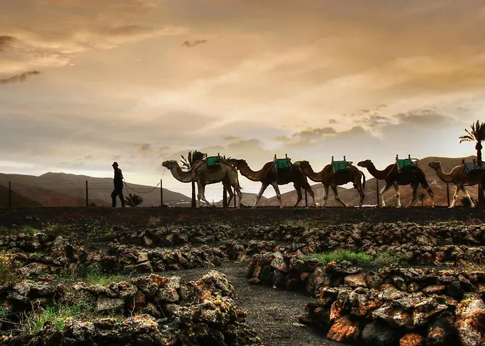 Home2book Prime Location Apartment, Playa Grande Apartman *